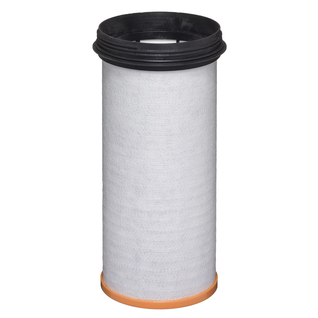 Secondary Air Filter